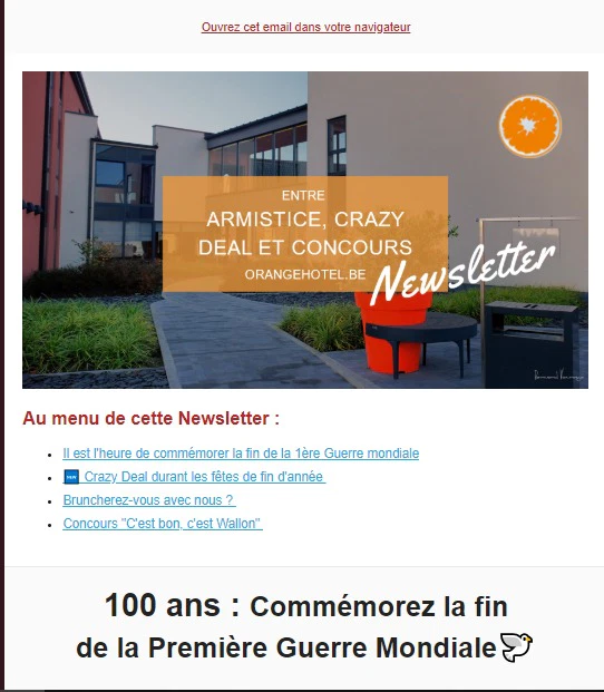 Orange Hotel : newsletter crazy deal