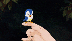 Oiseau Twitter