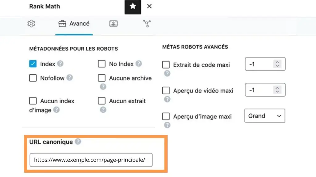 image interface Rank Math pour les balises canoniques