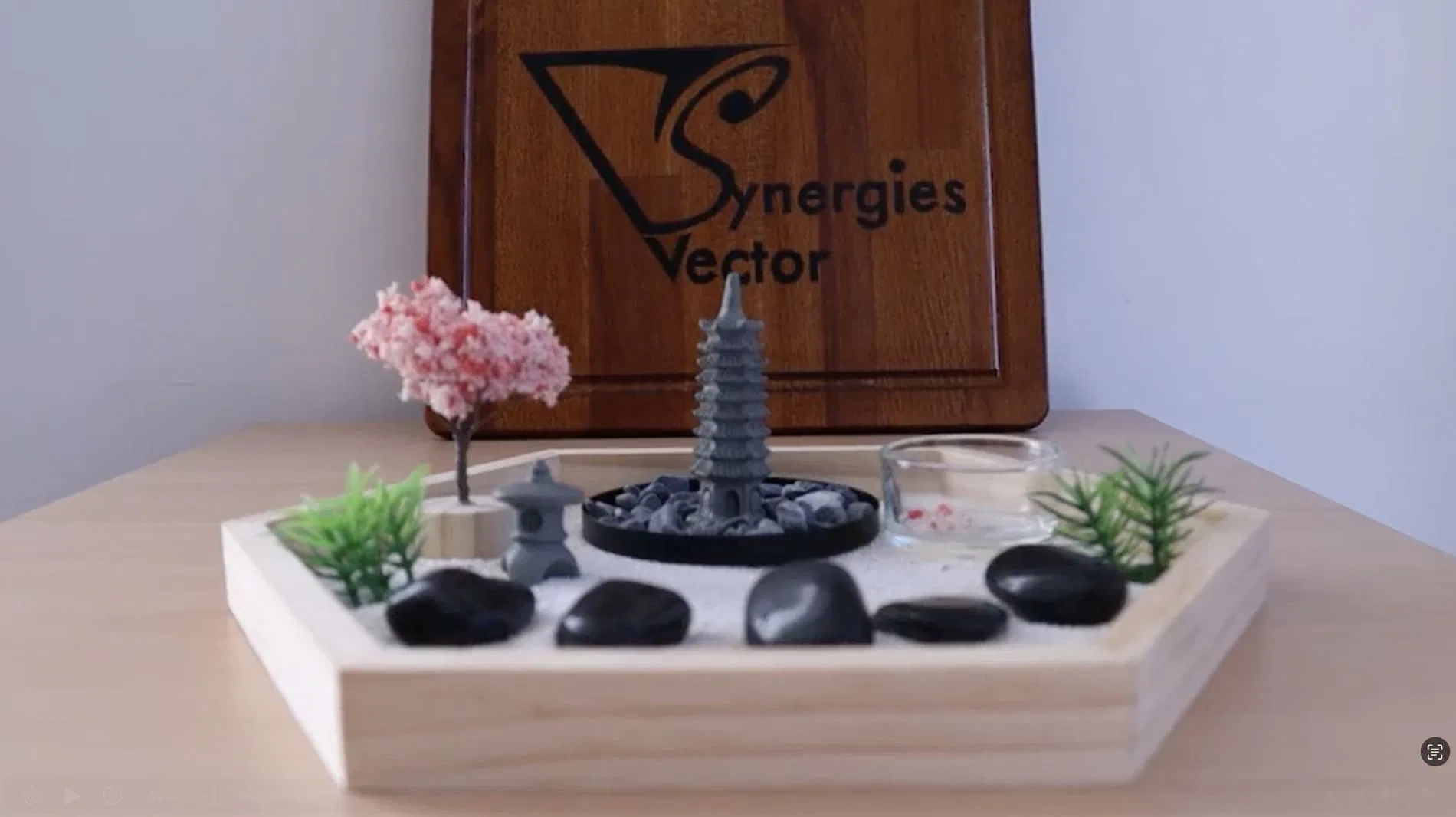 temoignage-daisho-preview