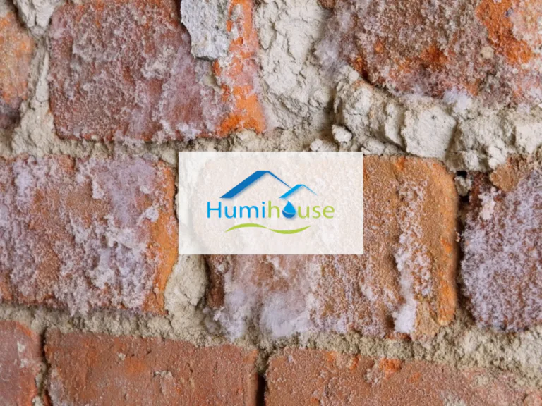 Références - Humihouse